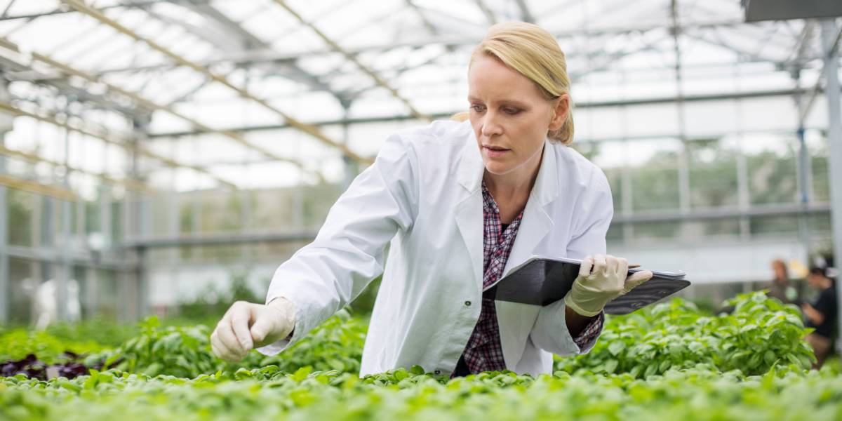 Investing in Industries & Local Economies